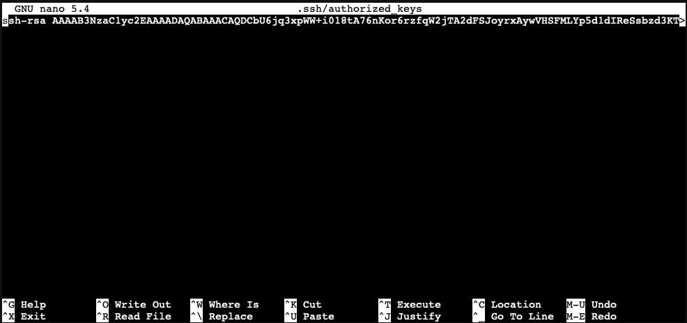 Die Datei authorized_keys im Editor nano