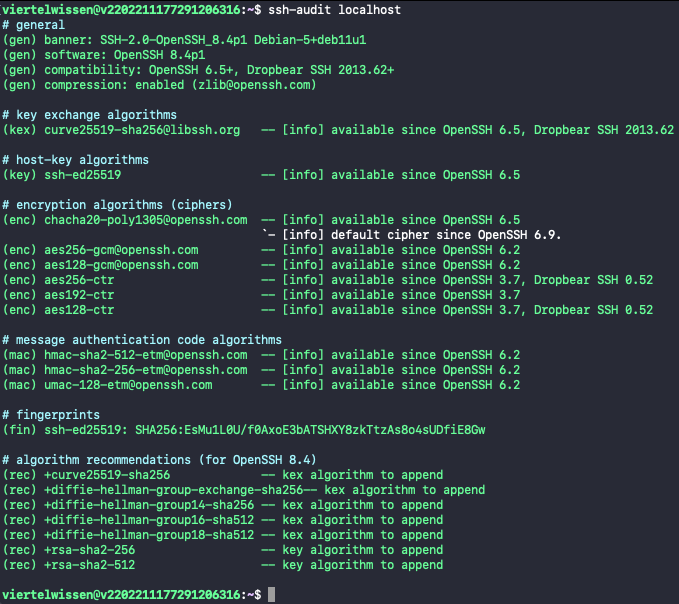 Terminal-Ausgabe eines erfolgreichen SSH Audits